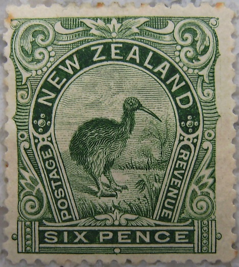 1898_Neuseeland7 - Kiwip.jpg