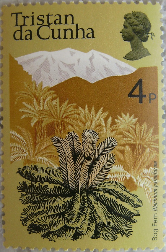 1972_Tristan da Cunha06p.jpg