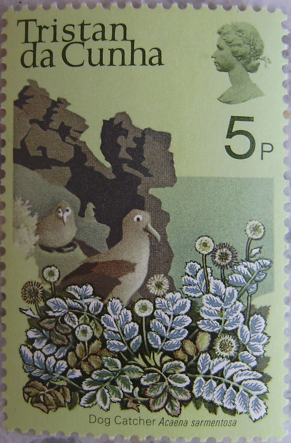 1972_Tristan da Cunha07p.jpg