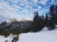 Vom Plansee auf das Schönjöchl (1.661m)