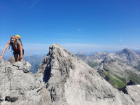 Steinschartenkopf (2.615m), Bockkarkopf (2.610m), Hochfrottspitze (2.649m) und Mädelgabel (2.645m)