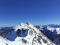 Skitour Tannheimer Geißhorn (2.247m)
