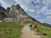 Nordwestgrat Aggenstein (1.986m)