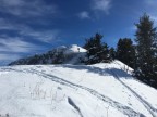 Skitour durchs Schwarzwassertal auf Steinmannl und Ochsenhofer Köpfe