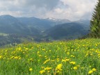 Steineberg und Stuiben