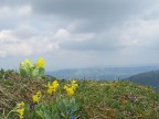 Steineberg und Stuiben