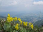 Steineberg und Stuiben