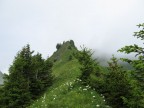 Tälispitze, Kuhspitze, Hüttekopf, Hochgerach