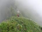 Tälispitze, Kuhspitze, Hüttekopf, Hochgerach