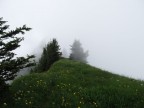 Tälispitze, Kuhspitze, Hüttekopf, Hochgerach