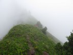 Tälispitze, Kuhspitze, Hüttekopf, Hochgerach