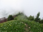 Tälispitze, Kuhspitze, Hüttekopf, Hochgerach