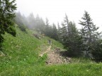 Tälispitze, Kuhspitze, Hüttekopf, Hochgerach