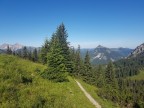 Schartschrofen, Hallerschrofen und Läuferspitze