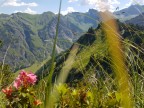 Hahnenkopf und Riefenkopf