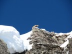 Skitour Gampensattel + Südliche Zwickspitze