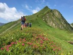 Wannenberg, Hintere Üntschenspitze, Ünschteller, Güntlespitze, Hochstarzel und Unspitze