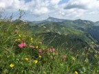 Wannenberg, Hintere Üntschenspitze, Ünschteller, Güntlespitze, Hochstarzel und Unspitze