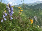 Wannenberg, Hintere Üntschenspitze, Ünschteller, Güntlespitze, Hochstarzel und Unspitze