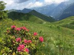 Wannenberg, Hintere Üntschenspitze, Ünschteller, Güntlespitze, Hochstarzel und Unspitze