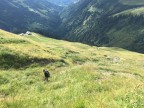 Sererfalben, Pfrondhorn, Falvkopf, Grenzspitze, Löffelspitze