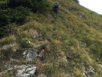 Sererfalben, Pfrondhorn, Falvkopf, Grenzspitze, Löffelspitze