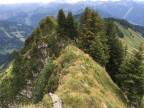 Sererfalben, Pfrondhorn, Falvkopf, Grenzspitze, Löffelspitze