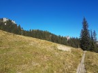 Niederstraußenberg, Ahornspitze, Straußbergköpfle und Hoher Straußberg