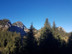 Niederstraußenberg, Ahornspitze, Straußbergköpfle und Hoher Straußberg