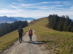 Nob, Gapfohler Falben, Männle und Alpwegkopf