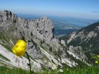 Sebenkopf Südverschneidung