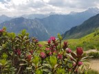 Gehrenspitze, Kanzelwand, Fellhorn, Schlappoltköpfe, Söllerköpfe und Söllereck