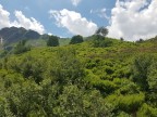 Gehrenspitze, Kanzelwand, Fellhorn, Schlappoltköpfe, Söllerköpfe und Söllereck