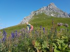 Hammerspitze, Hochgehrenspitze, Schüsser