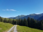 Toblermannskopf, Hörnlekopf, Hörnle und Ruchwannekopf