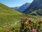 Toblermannskopf, Hörnlekopf, Hörnle und Ruchwannekopf