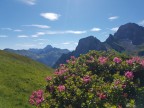 Toblermannskopf, Hörnlekopf, Hörnle und Ruchwannekopf