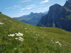 Toblermannskopf, Hörnlekopf, Hörnle und Ruchwannekopf