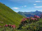 Toblermannskopf, Hörnlekopf, Hörnle und Ruchwannekopf