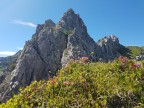 Toblermannskopf, Hörnlekopf, Hörnle und Ruchwannekopf