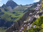 Toblermannskopf, Hörnlekopf, Hörnle und Ruchwannekopf