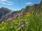 Toblermannskopf, Hörnlekopf, Hörnle und Ruchwannekopf