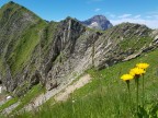 Toblermannskopf, Hörnlekopf, Hörnle und Ruchwannekopf