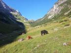 Steinschartenkopf, Bockkarkopf, Hochfrottspitze, Mädelegabel