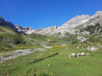 Steinschartenkopf, Bockkarkopf, Hochfrottspitze, Mädelegabel