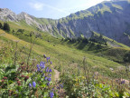 Höferspitze, Weißer Schrofen, Heiterberg