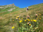 Juppenspitze und Fernerspitze