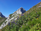 Juppenspitze und Fernerspitze