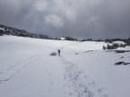 Madeisakopf und Hoher Fraßen