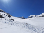 Trittkopf